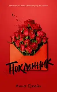 Поклонник (Аудиокнига)