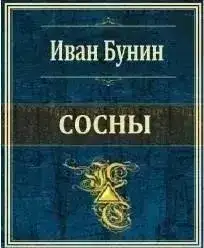 Сосны