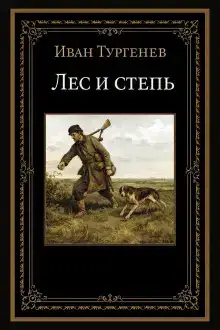 Лес и степь