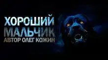 Хороший мальчик