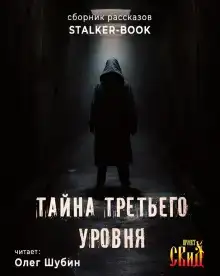 Тайна третьего уровня