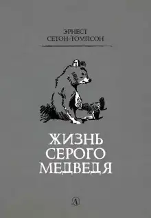 Жизнь серого медведя