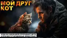 Мой друг Кот