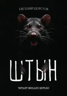 Штын