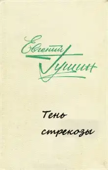 Тень стрекозы