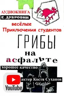 Грибы на асфальте