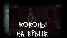 Коконы на крыше