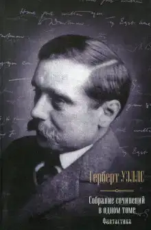 Сокровище в лесу
