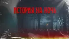 Дом там, где сердце