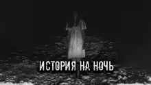 Правдивая история моей семьи