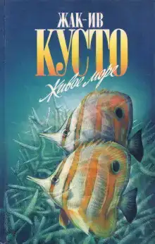 Живое море