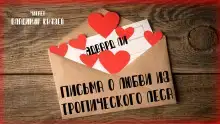 Письма о любви из тропического леса