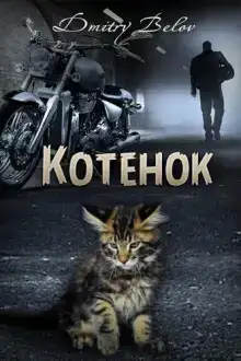 Котенок
