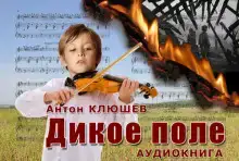 Дикое Поле