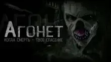 Агонет