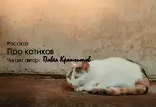 Про котиков