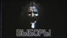 Выборы