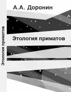 Этология приматов