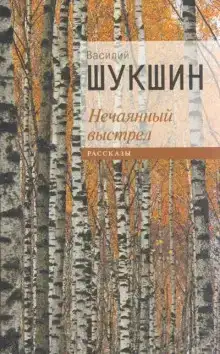 Нечаянный выстрел