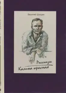 Стёпка