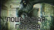 Лошадиная голова