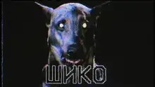 Шико
