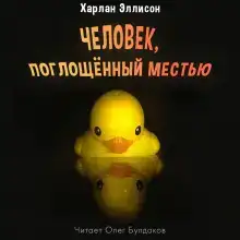 Человек, поглощенный местью