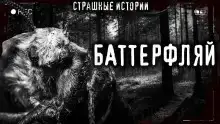 Баттерфляй