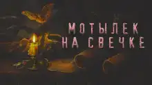 Мотылек на свечке