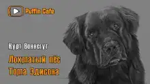 Лохматый пёс Эдисона