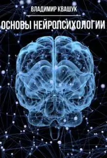 Основы нейропсихологии
