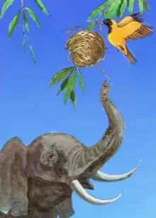 Птичка и слон