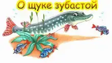 О щуке зубастой