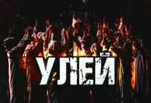 Улей