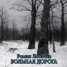 Вольная дорога