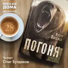 Погоня