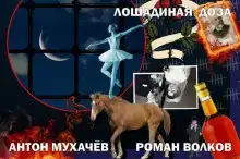 Лошадиная доза