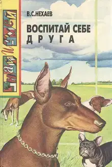 Воспитай себе друга