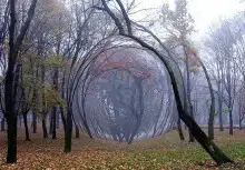 После Армагеддона