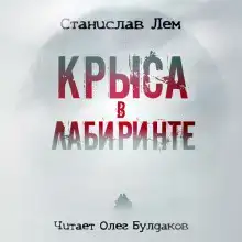 Крыса в лабиринте