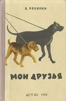 Мститель