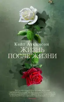 Жизнь после жизни