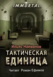 Тактическая единица
