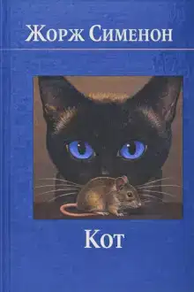 Кот