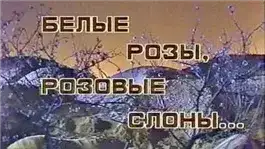 Белые розы, розовые слоны