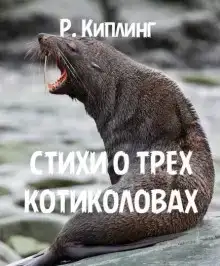 Стихи о трех котиколовах