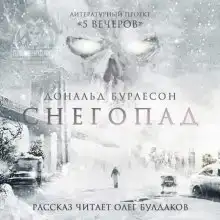 Снегопад