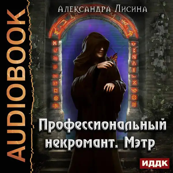 Профессиональный некромант. Книга 1. Мэтр
