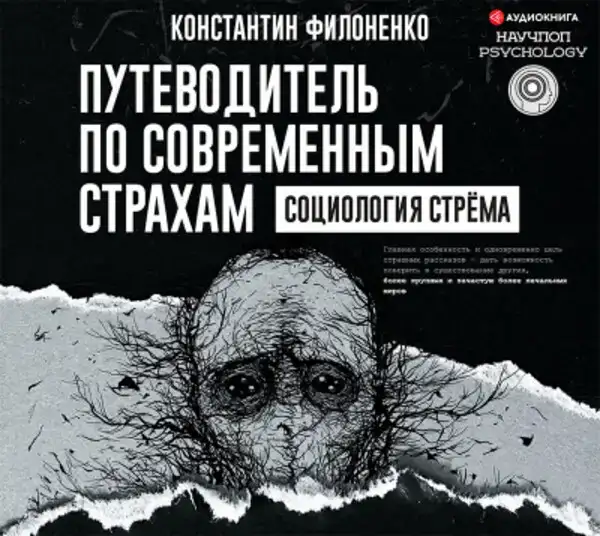 Путеводитель по современным страхам. Социология стрема