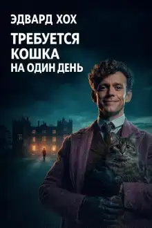 Требуется кошка на один день